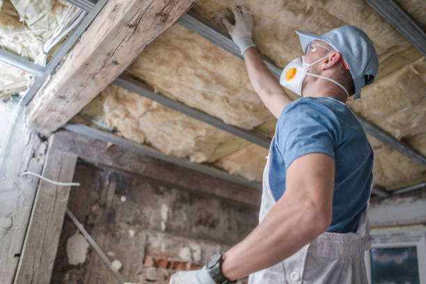 Best Insulation Contractors for Homes  in Rosanky, TX