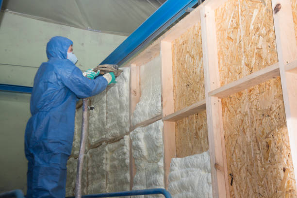 Best Affordable Insulation Services  in Rosanky, TX